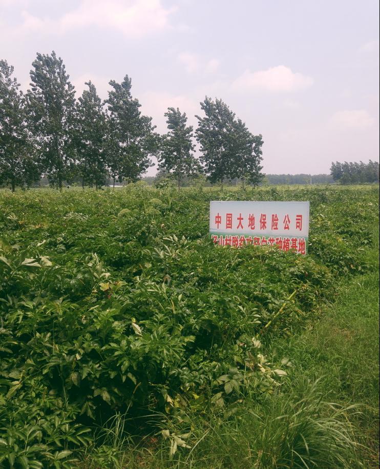 42923ţ桤(й)ٷվ